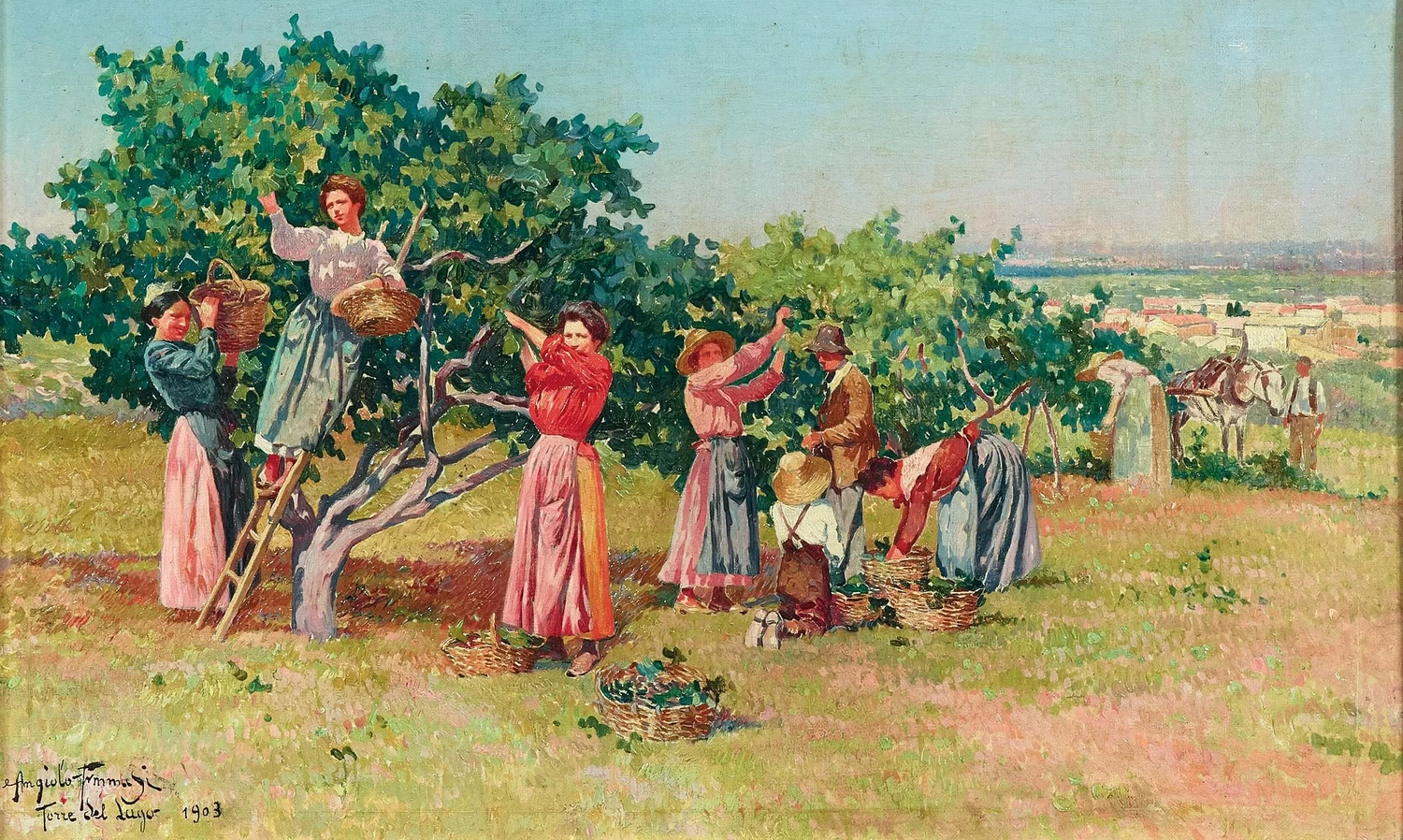 Angiolo - Vendemmia in Toscana